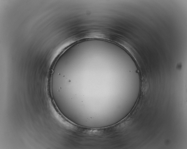 X0000112401139200908281744