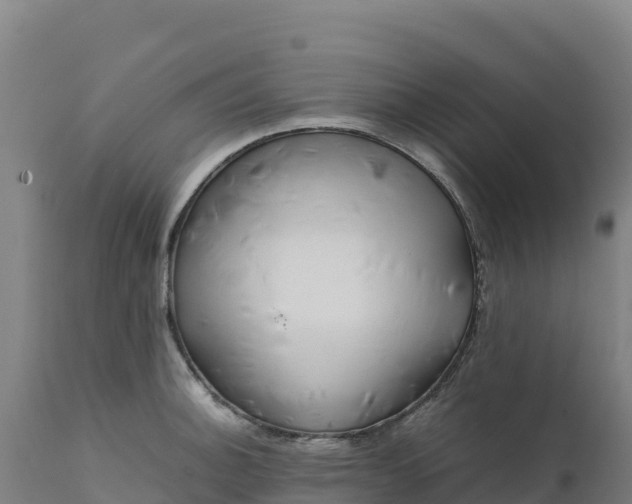 X0000112401140200908281744