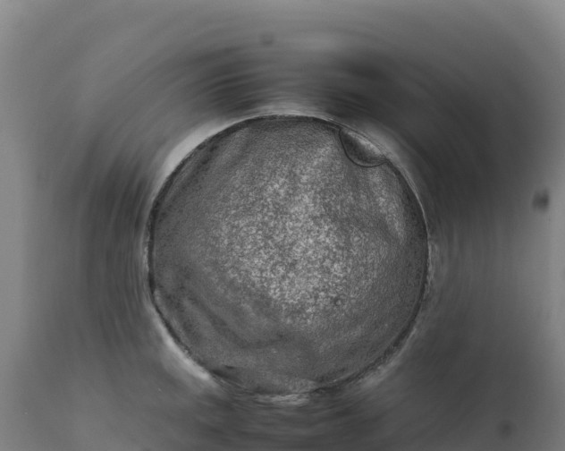 X0000112401141200908281744