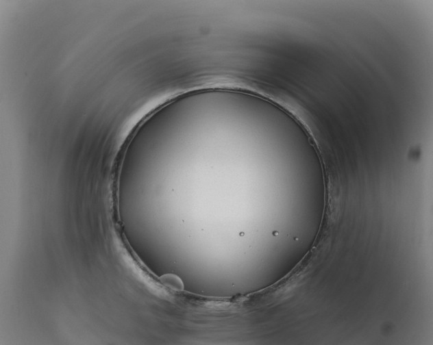 X0000112401142200908281744