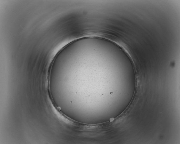 X0000112401143200908281744
