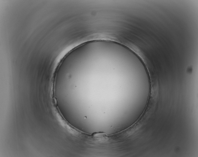 X0000112401144200908281744