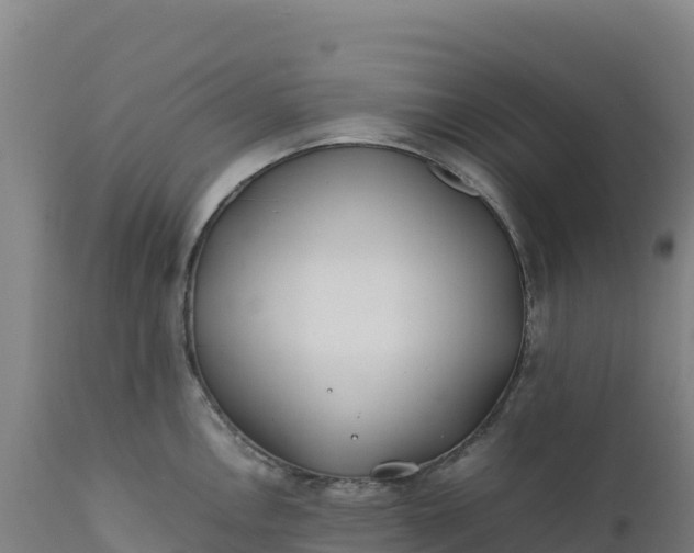 X0000112401146200908281744