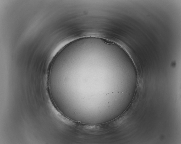 X0000112401147200908281744