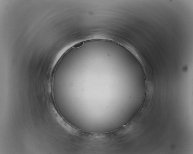 X0000112401148200908281744