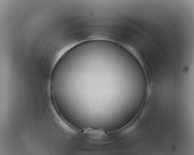 X0000112401149200908281744