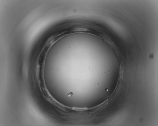 X0000112401151200908281744
