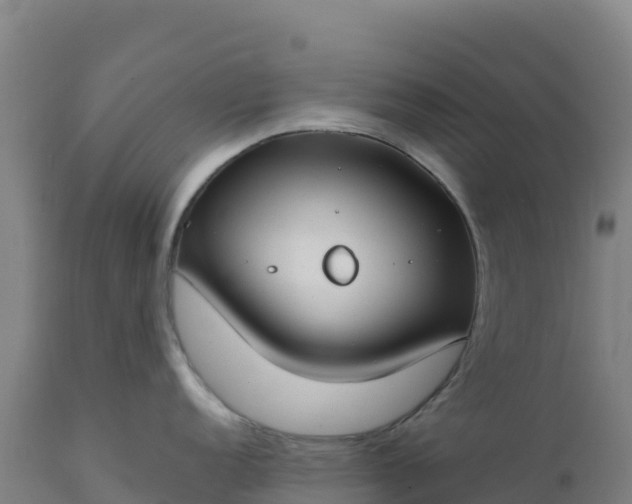 X0000112401152200908281744