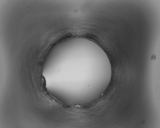 X0000112401153200908281743