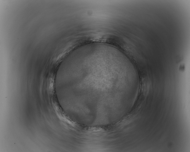 X0000112401154200908281743