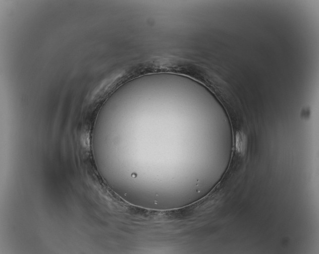 X0000112401155200908281743