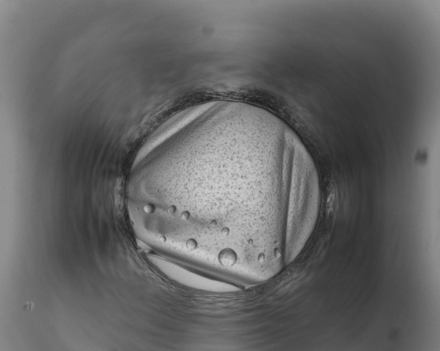 X0000112401156200908281743