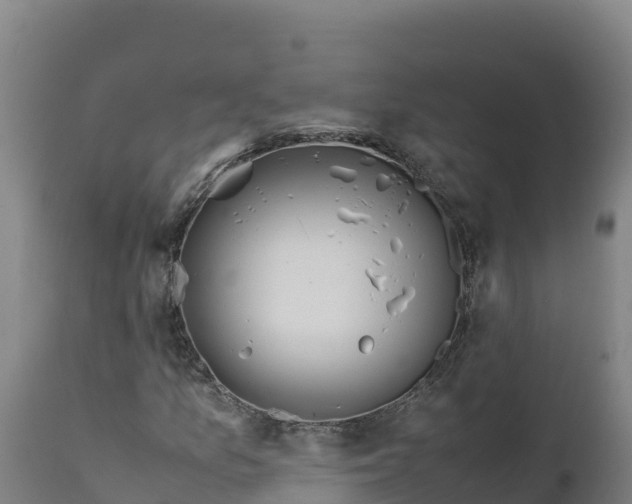 X0000112401157200908281743