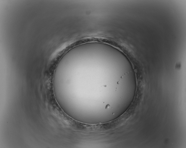 X0000112401159200908281743