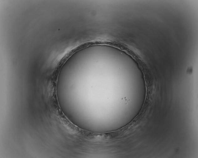 X0000112401160200908281743