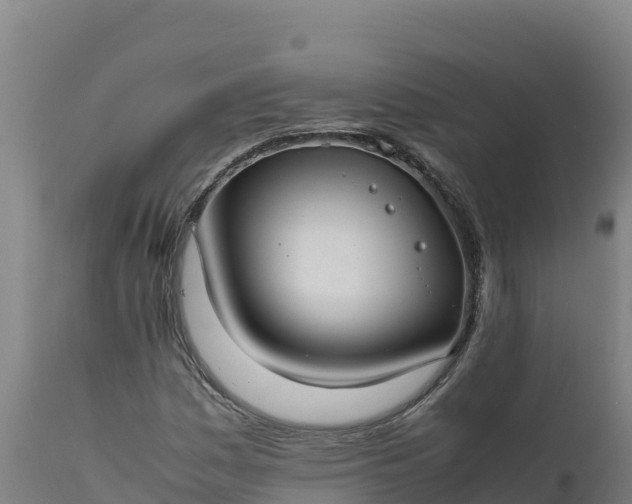 X0000112401161200908281743