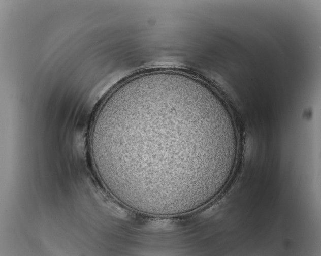 X0000112401162200908281743