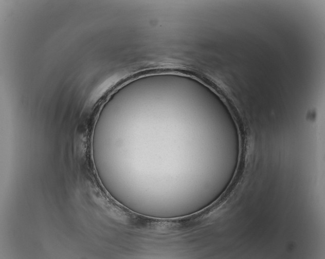X0000112401163200908281743