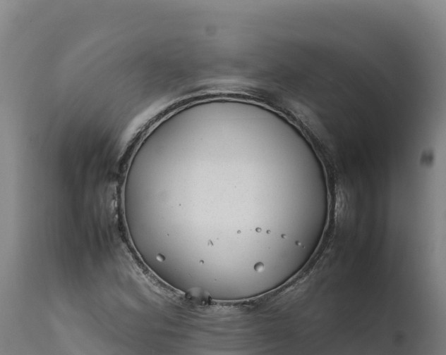 X0000112401164200908281743