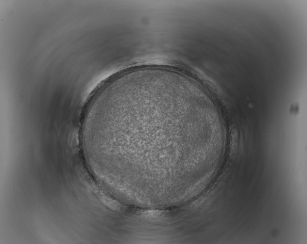 X0000112401166200908281743