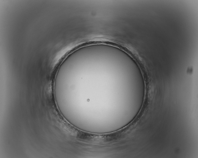 X0000112401167200908281743