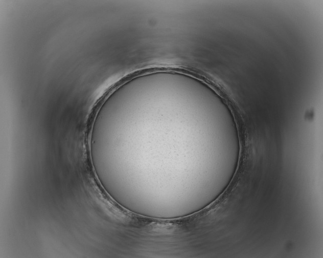 X0000112401168200908281743