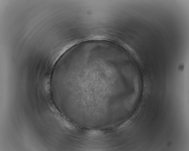 X0000112401170200908281743