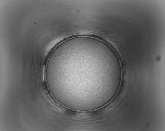 X0000112401171200908281743