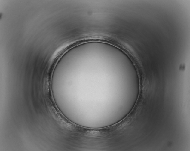 X0000112401172200908281743
