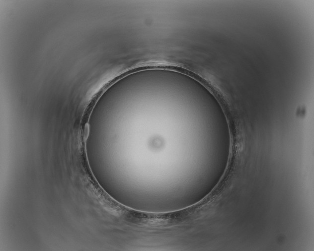 X0000112401173200908281743