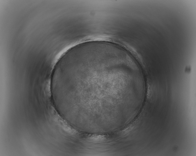 X0000112401174200908281743