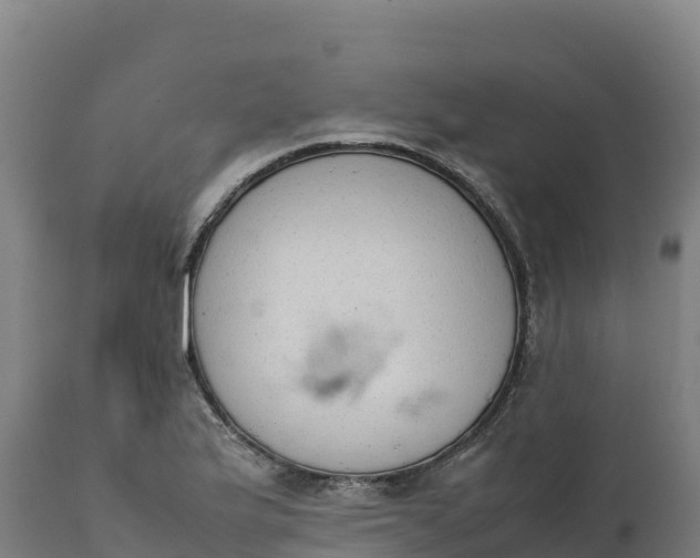 X0000112401175200908281743