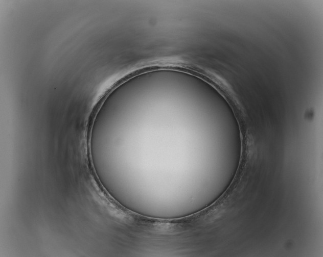 X0000112401176200908281743