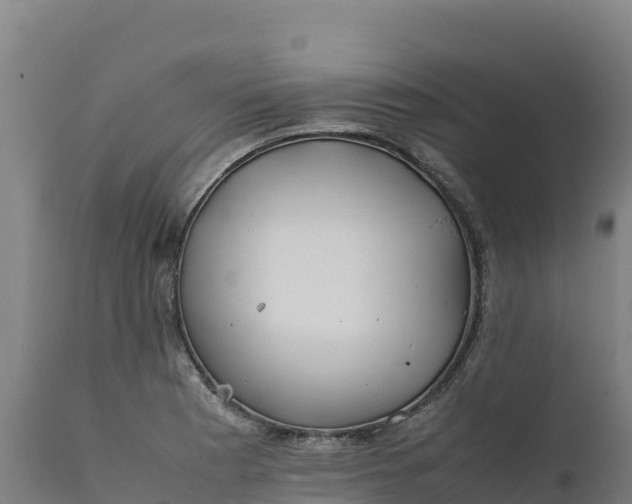 X0000112401177200908281743