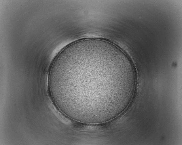 X0000112401179200908281743