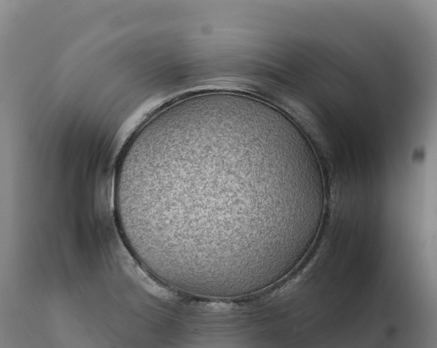 X0000112401180200908281743