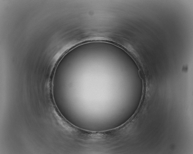 X0000112401181200908281743