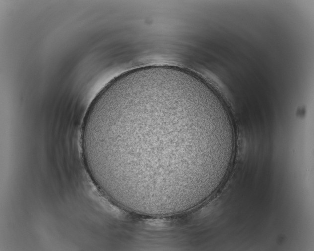 X0000112401182200908281743