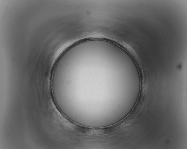 X0000112401183200908281743