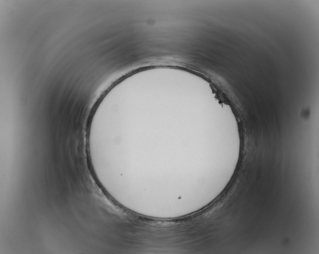 X0000112401184200908281743