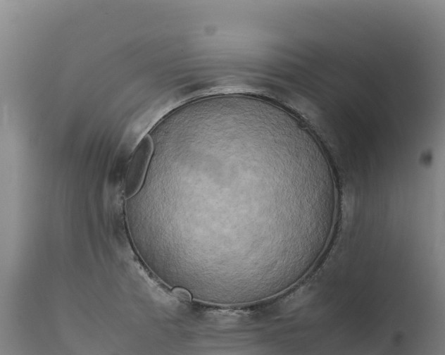 X0000112401185200908281743