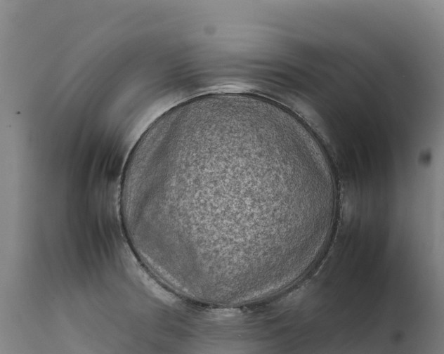 X0000112401186200908281743