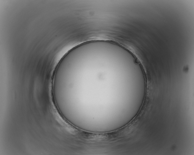 X0000112401187200908281743