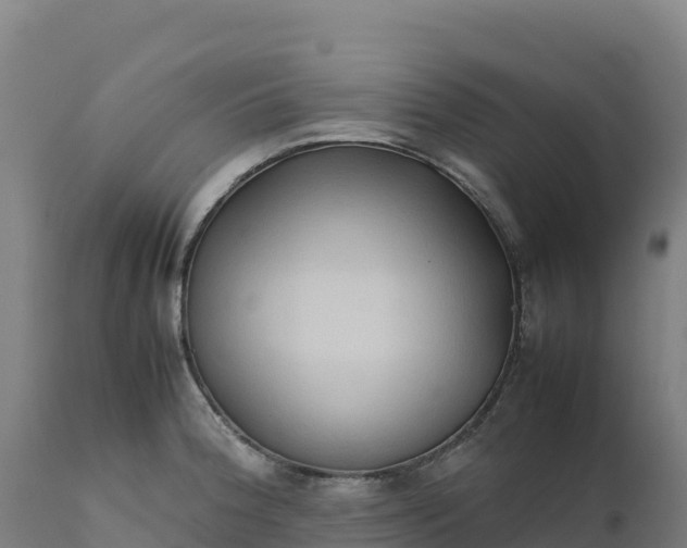 X0000112401188200908281743