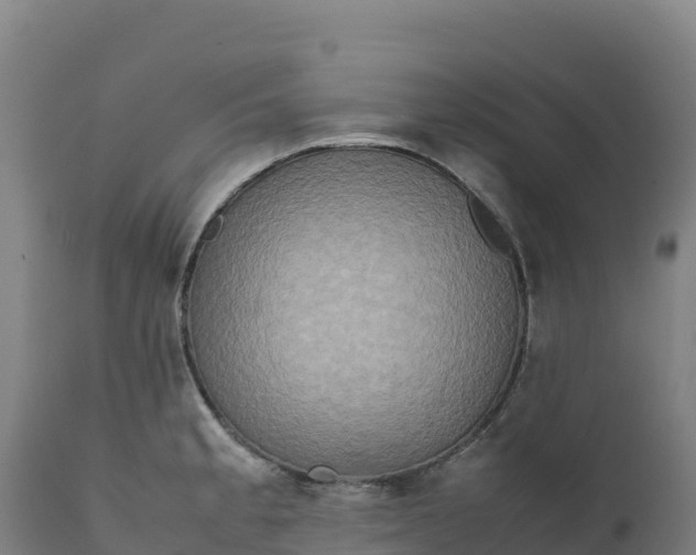 X0000112401189200908281743