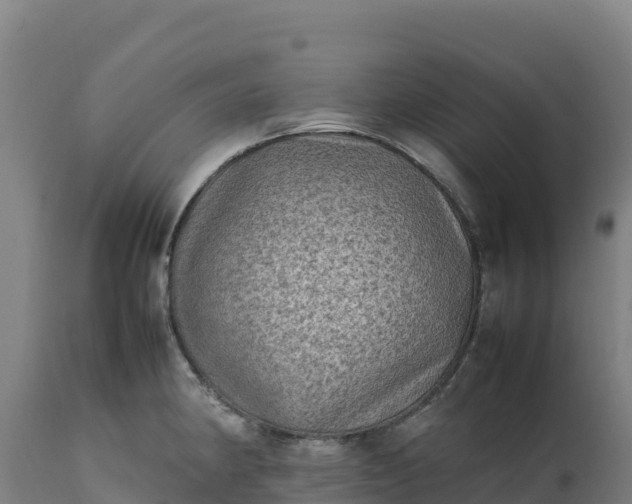 X0000112401190200908281742