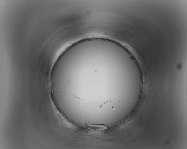 X0000112401191200908281742