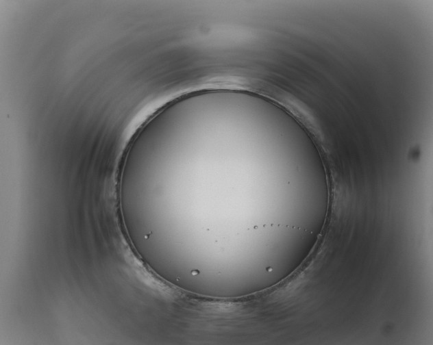 X0000112401192200908281742