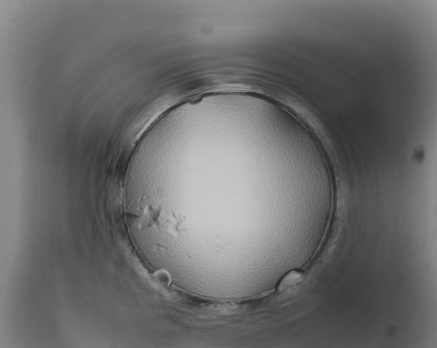 X0000112401193200908281742