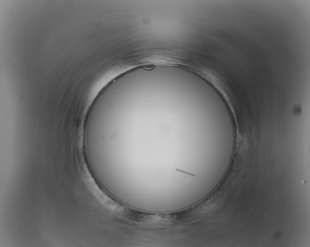X0000112401195200908281742
